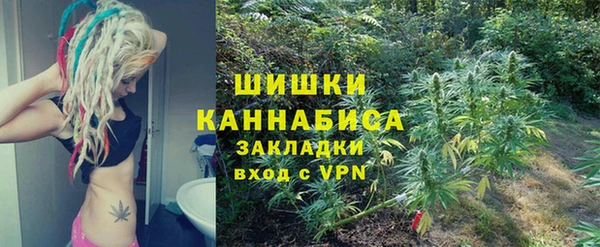 шишки Касимов