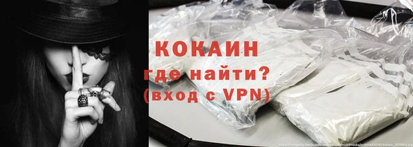шишки Касимов