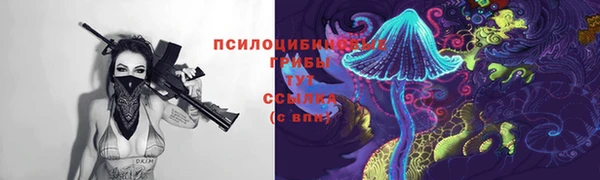 прущий лед Карпинск