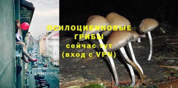 прущий лед Карпинск