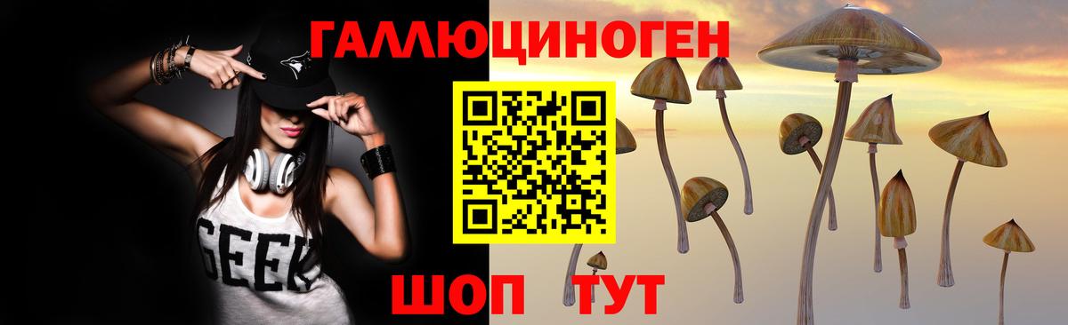 продажа наркотиков  Галлюциногенные грибы мицелий  Вход с VPN  Краснодар 
